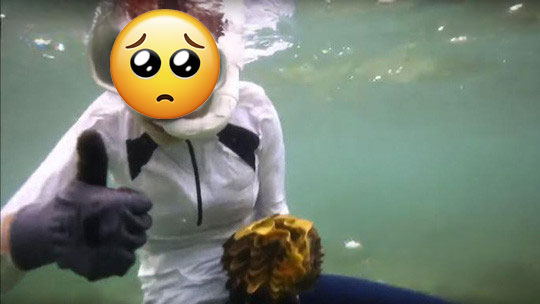 Khoảnh khắc lặn biển khiến 1 mỹ nhân suýt tù tội, 'đi tong' sạch sự nghiệp!