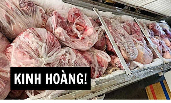 Đọc vụ 300 tấn LỢN BỆNH mà hãi: Khi nhà trường không quản nổi miếng thịt trẻ ăn thì mọi bài giảng đạo đức đều là sáo rỗng!