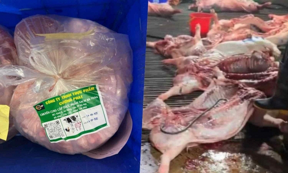 Vụ 300 tấn thịt lợn bệnh: Đường vòng trong gói thầu hơn 10 tỷ đồng đưa thực phẩm bẩn vào trường tiểu học ở Hà Nội 
