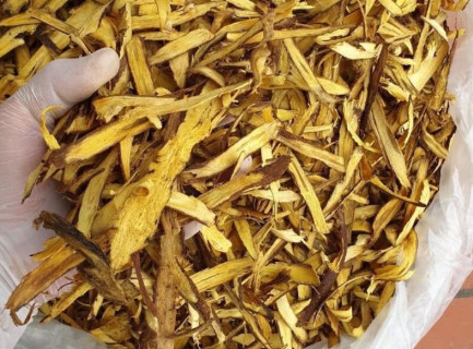 1 loại cây quý phơi khô là 'khắc tinh của ung thư', hạ đường huyết hiệu quả: Rất sẵn ở Việt Nam