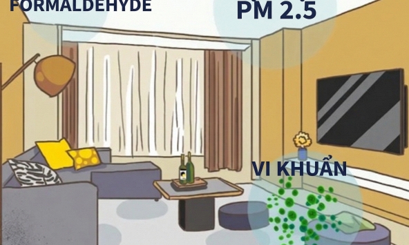 Đừng dùng bừa những thứ này trong nhà! Coi chừng gây viêm mạn tính, kháng insulin, tăng nguy cơ ung thư