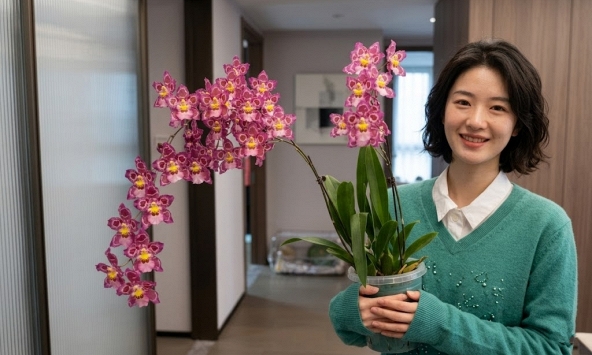 Trồng thử chậu lan vũ nữ da báo giá 'bèo', mẹ đảm bất ngờ vì hoa nở rực rỡ suốt cả tháng, nhà cửa bừng sáng sinh khí