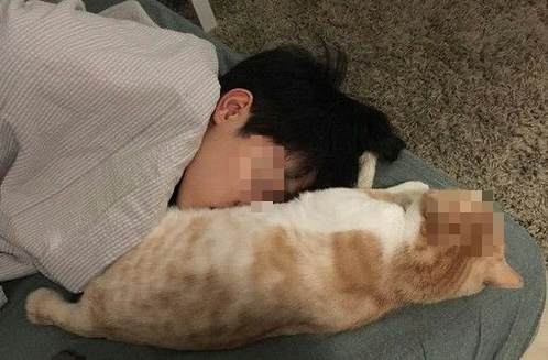 Cậu bé 14 tuổi 'gần như mù lòa' sau 1 năm ngủ chung với chó mèo, bác sĩ: 'Bệnh này không chữa được'