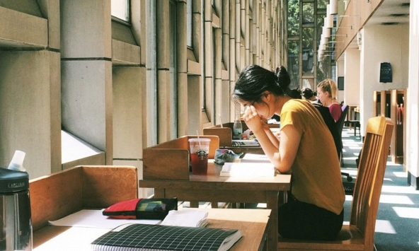 'Đại thanh lọc' ngành học toàn cầu: Vì sao những ngành từng rất hot nay bị xóa sổ, số khác lại càng học càng có giá?