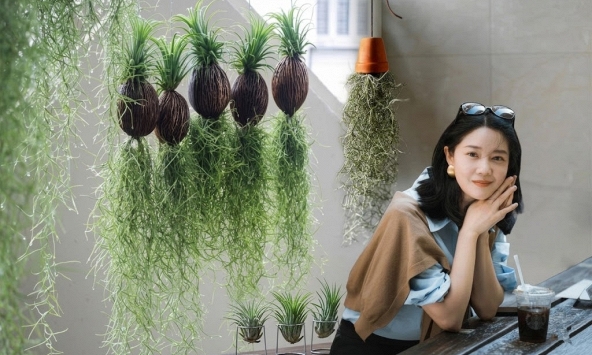 Thú chơi 'cây không khí' giải nhiệt mùa hè: Không đất, không rễ vẫn sống xanh mướt, làm thoáng không gian nhà bạn!