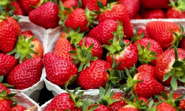 Danh sách '12 loại trái cây và rau củ bẩn nhất năm 2026' đã được công bố! Đứng đầu là loại rau rất giàu sắt, dâu tây cũng góp mặt