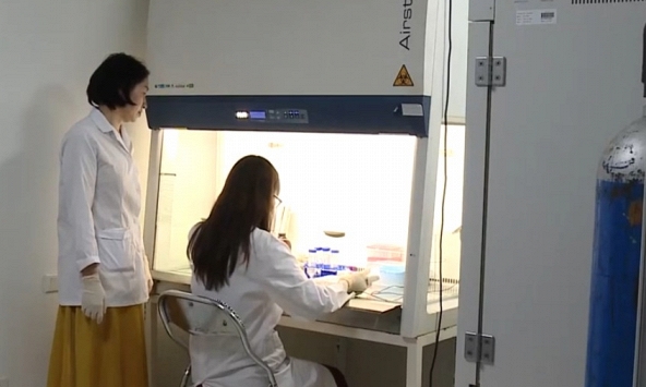 Lần đầu giải mã hệ gen tế bào gốc CD34 trong ung thư hạch: Mở đường cho điều trị trúng đích