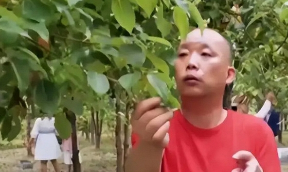 Phát hiện người đàn ông kiếm hơn 382 tỷ đồng/năm nhờ lá cây