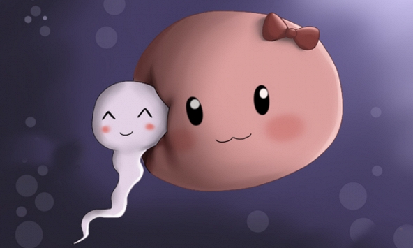 Nam giới nên ăn gì khi chuẩn bị có con? 3 nhóm thực phẩm giúp cải thiện chất lượng tinh binh