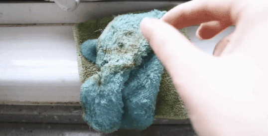 Nhà trông rất sạch nhưng 6 thứ này đang sinh vi khuẩn 24/7 mà bạn không hề biết 