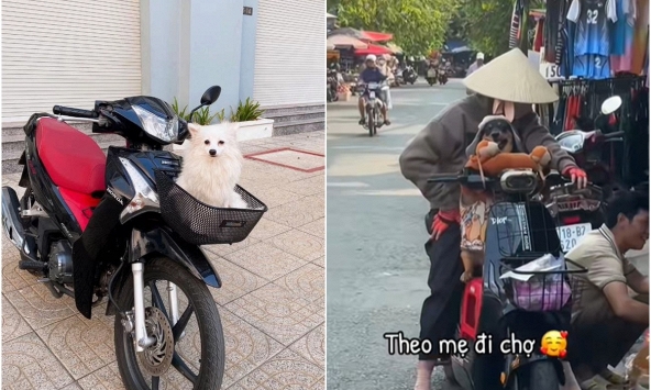 Ở Việt Nam có một con vật được gọi là “cục dzàng', người nước ngoài phải quay vlog vì 'về nước kể sợ không ai tin'