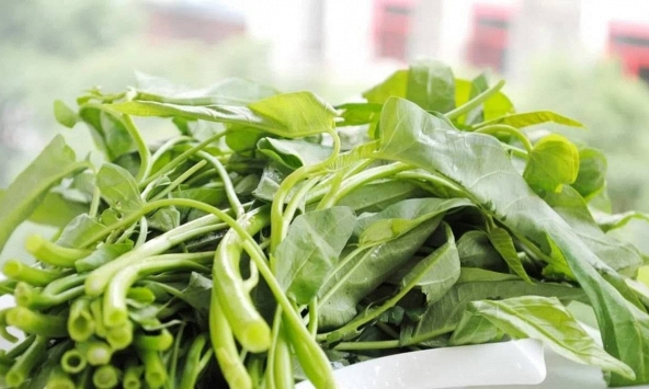 Rau muống không chỉ để xào tỏi, còn là 'bí quyết' giúp cơ thể nhanh hồi phục