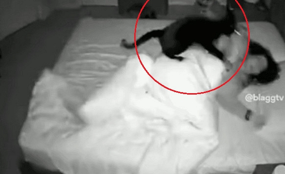 Người phụ nữ ngày nào cũng đi ngủ sớm nhưng sáng dậy vẫn thiếu ngủ, mệt mỏi trầm trọng, đoạn camera giám sát lúc 3 giờ sáng tiết lộ