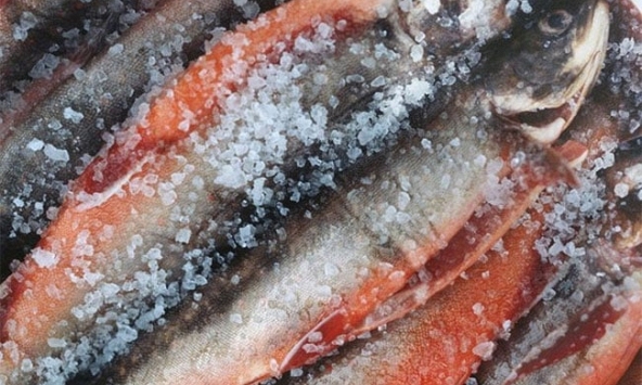 3 loại cá 'bẩn nhất chợ', ít dinh dưỡng, tiềm ẩn độc tố nhưng nhiều người Việt lại cực mê