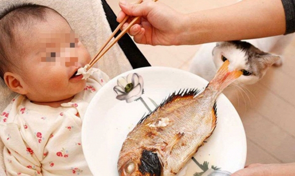 Bé bị hóc xương cá, mẹ kiên quyết đưa đi viện thay vì tự xử lý tại nhà