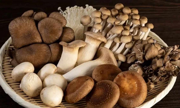 Những loại nấm quen thuộc ở chợ Việt: Giàu dưỡng chất, hỗ trợ tăng cường miễn dịch