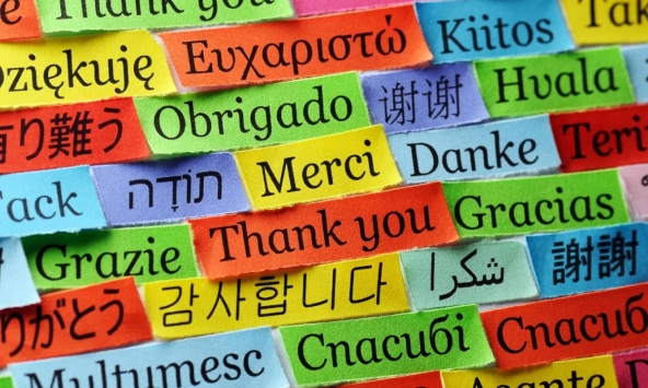 3 ngoại ngữ 'vàng' giúp bạn nắm giữ lợi thế chiến lược trong 5 năm tới, không lo bị AI thay thế