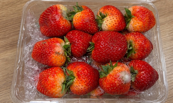 Cặp vợ chồng ngoài 20 tuổi cùng mắc ung thư gan, 'thủ phạm' là loại trái cây quen thuộc nhưng có hại