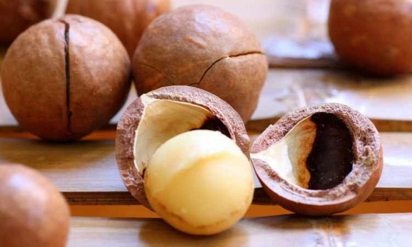 Hạt mắc ca được ví như 'dầu ô liu cô đặc': Chứa tới 70% chất béo tốt, ăn đúng cách cực lợi sức khỏe