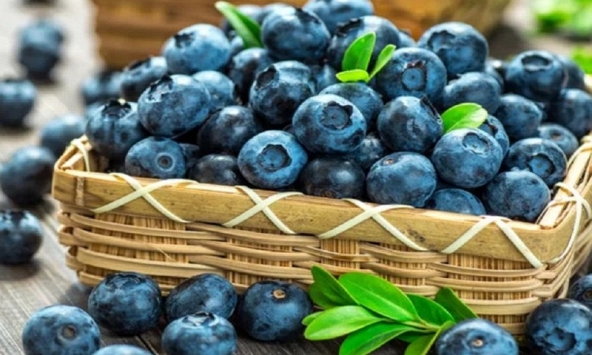 Mùa việt quất tươi đầy chợ, đừng chỉ ham quả to nhất: Người nông dân giàu kinh nghiệm cho biết 'chỉ cần nhớ 4 điểm này!'