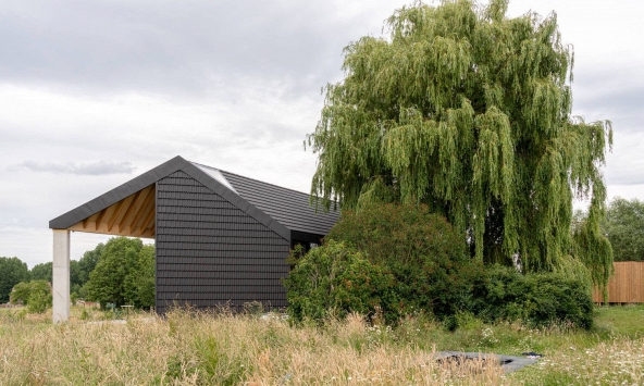 5 loại cây không nên trồng trước cửa nhà, vừa ảnh hưởng phong thủy lại có thể gây hại cho gia chủ