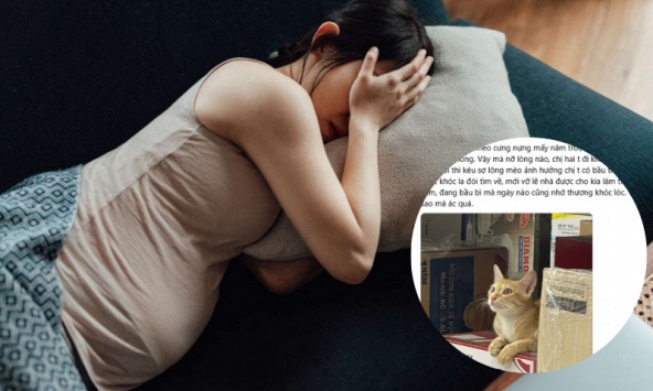 Khi sự tàn nhẫn núp bóng 'lo cho bà bầu': Bi kịch con mèo của nàng dâu và sự thao túng độc hại của nhà chồng