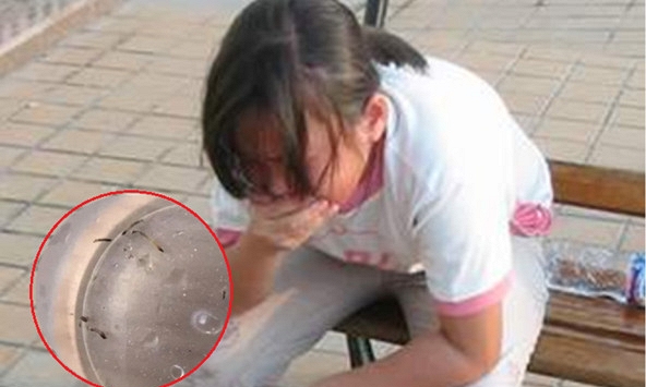 Bé gái nôn ra “giun sống” suốt hơn 1 tháng, thủ phạm lại là loài đang có trong nhiều gia đình