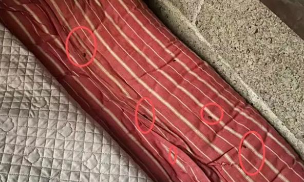 Điểm bất thường trên chiếc giường tố cáo 1 gia đình méo mó: Vết sẹo khó lành!