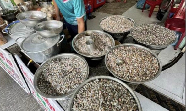 Giá vàng đu đỉnh cũng không bằng lon ốc lể miền Trung