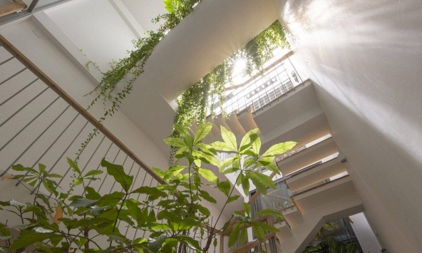 Ông bà dặn: Nhà có đủ 6 dấu hiệu này thì ai hỏi cũng đừng bán, càng ở càng tốt, con cháu hưởng lợi nhiều đời