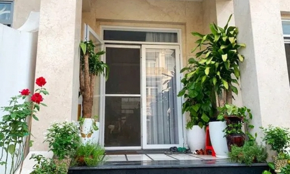 Lời khuyên cho những gia đình đang trồng cây trước cửa