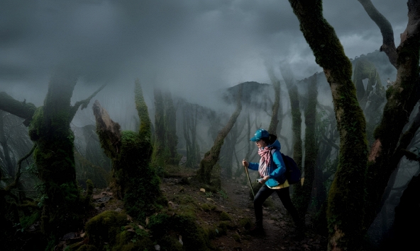 3 lưu ý quan trọng khi đi trekking rừng dịp nghỉ lễ 30/4-1/5