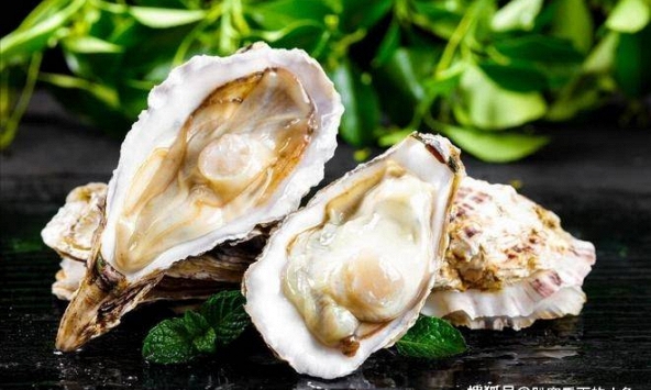 Loại hải sản này vừa béo vừa ngon, giàu protein và dinh dưỡng, 2 cách chế biến tại gia ăn hoài không chán!