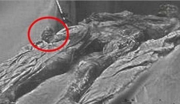 Mở mộ Quang Tự, phát hiện ông nắm chặt 2 vật thể lạ: Vừa thấy chúng, chuyên gia khóc không ngừng