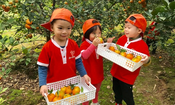 Dịp nghỉ lễ này chơi gì cùng con? 40 hoạt động đơn giản, ít tốn kém nhưng vừa “chữa lành” vừa giúp trẻ mở mang hiểu biết