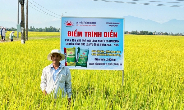 Hiệu quả rõ nét từ mô hình phân bón NPK thế hệ mới trên lúa tại Đắk Lắk