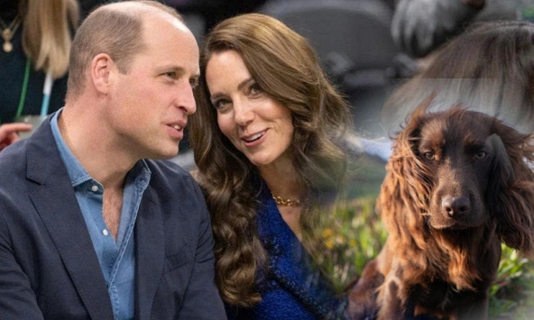 Chó cưng nhà William - Kate tròn 1 tuổi: Cái tên ý nghĩa bất ngờ khiến fan hoàng gia quan tâm