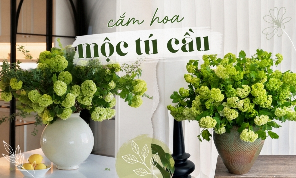Loài hoa được vua Càn Long ví như 'ngọc bàn đọng tuyết' đang trở thành xu hướng cắm hoa hot nhất mùa này: Khó chăm nhưng đáng từng đồng