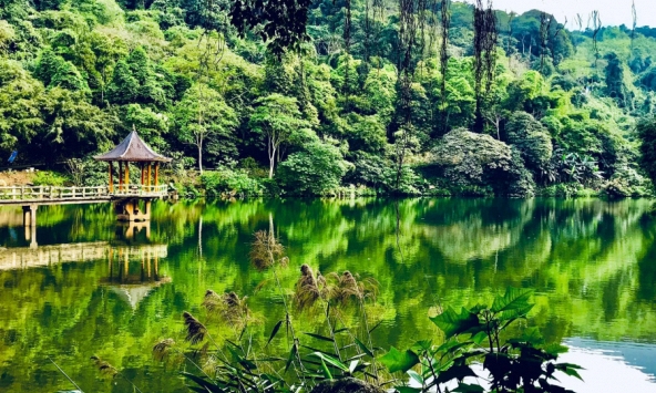 Ba Vì mùa hè: 8 điểm đến để rời phố mà không cần đi xa