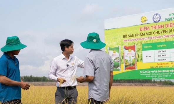 Hội thảo đầu bờ - Nhìn tận mắt hiệu quả từ mô hình trình diễn Lúa Xanh – Chắc Hạt 