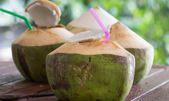 Lời khuyên cho các gia đình hay uống nước dừa