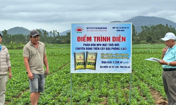 Mô hình phân bón chuyên dùng giúp cây lạc tăng năng suất 20% tại Gia Lai