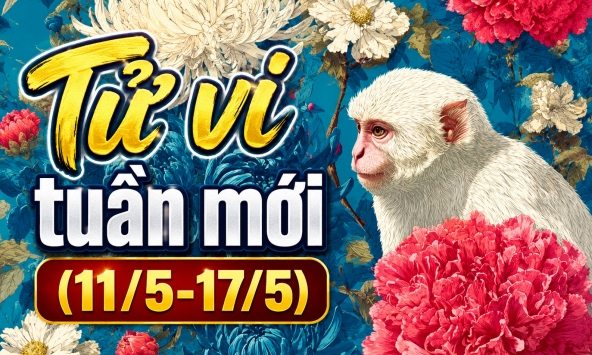 Tử vi tuần mới (11/5-17/5): Top 3 con giáp được Thần Tài che chở, quý nhân giúp đỡ hết mình