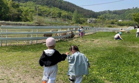 Cha mẹ quá nặng tâm lý so bì, người khổ nhất lại chính là con cái!