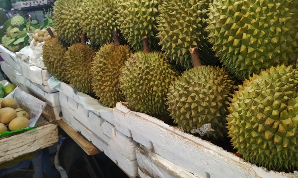 Lời khuyên khi mua sầu riêng