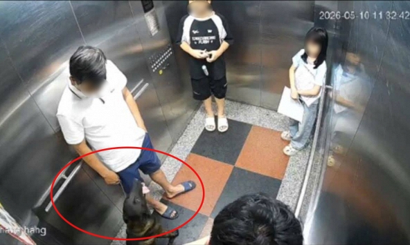 Hà Nội: Bị nhắc đeo rọ mõm cho chó, cư dân đấm gục thành viên ban quản trị chung cư, công an vào cuộc