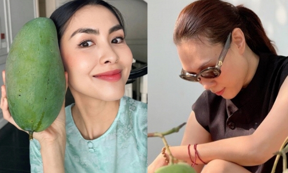 Tăng Thanh Hà, Mỹ Tâm đua nhau trồng 1 loại cây cho quả lúc lỉu: Ngon, sạch chẳng lo thuốc trừ sâu còn xóa nhăn da