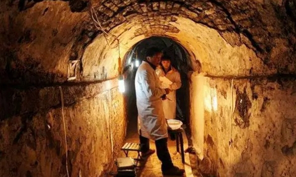 Khai quật mộ cổ 500 năm, chuyên gia bất ngờ khi thấy 'quái thú' sống bên trong: Nó đã ở đó từ bao giờ?