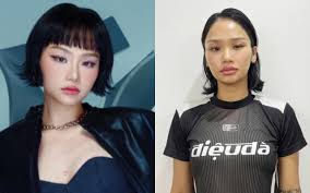 Vụ dùng ma tuý tại Cát Bà: Vì sao ca sĩ Miu Lê không bị khởi tố?