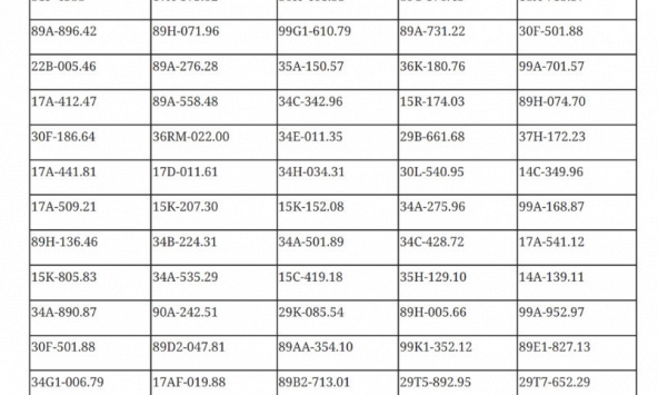 699 chủ phương tiện vi phạm mang biển số sau khẩn trương nộp phạt nguội theo Nghị định 168
